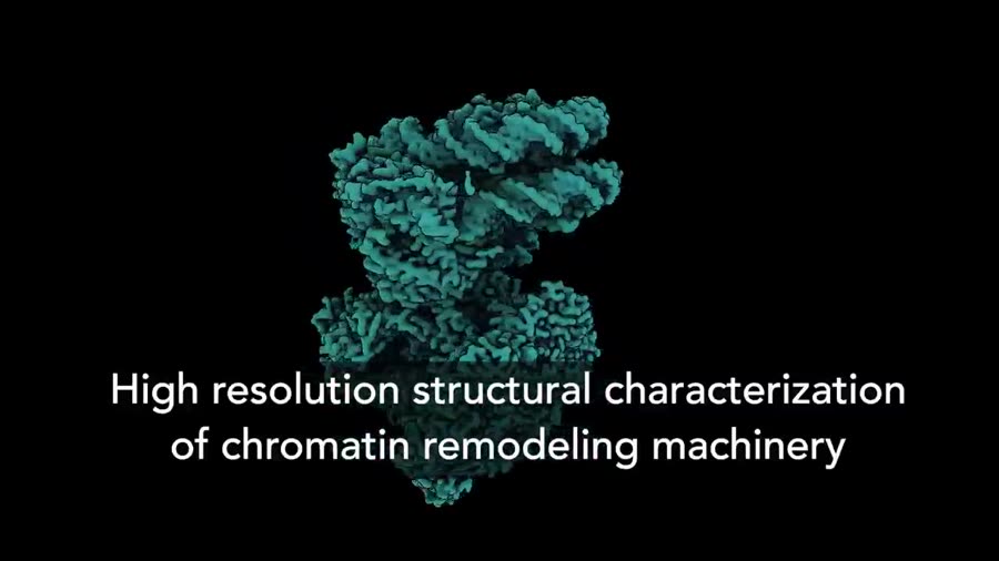 Opening frame of the cryo-EM sequence: a teal density map above the title
                    'High resolution structural characterization of chromatin remodeling machinery'